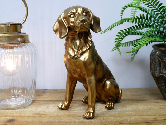 Golden Dog