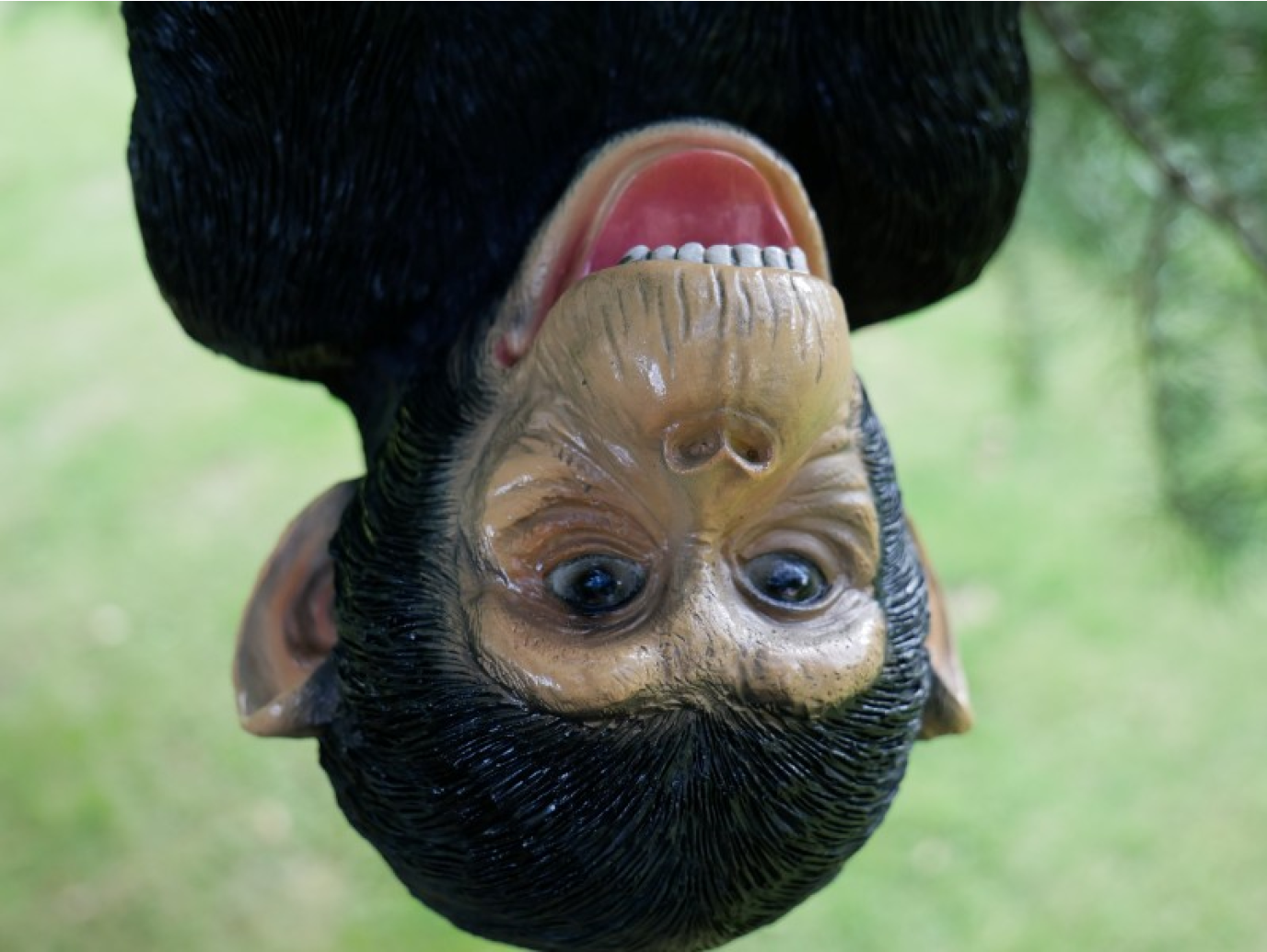 Climbing Monkey