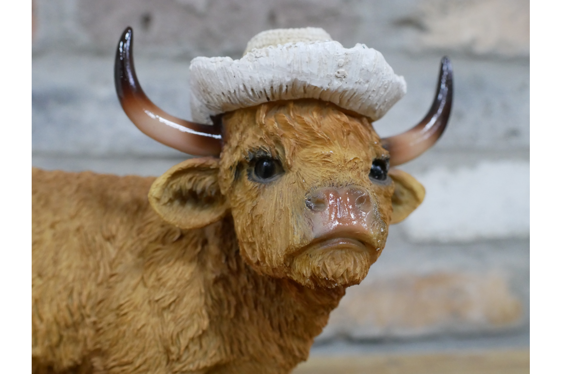Highland Cow - Large