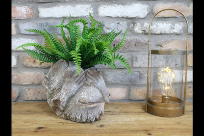Monkey Head Planter