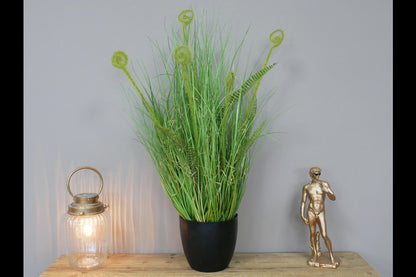 Artificial Grass