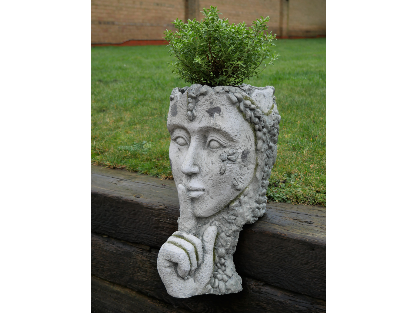 Head Planter