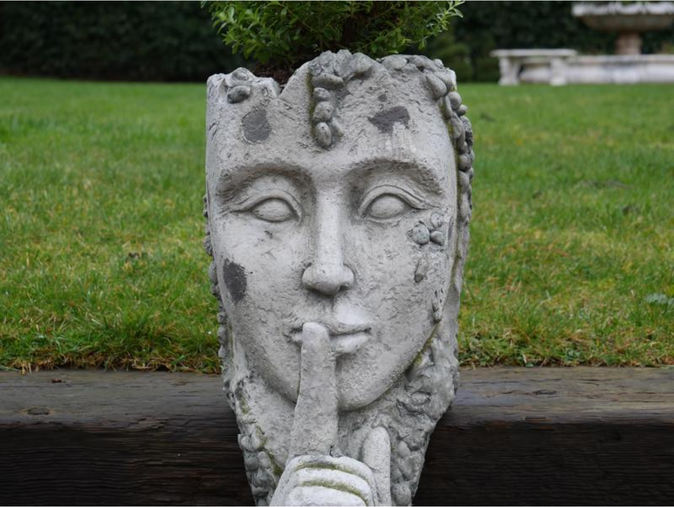 Head Planter