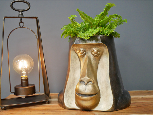 Monkey Head Pot