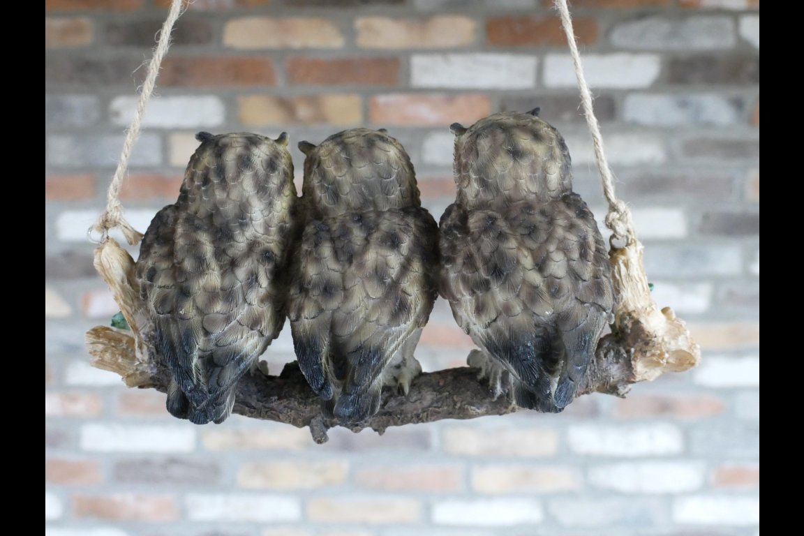 Three Owls On A Branch