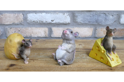 Mouse Rolling Potato