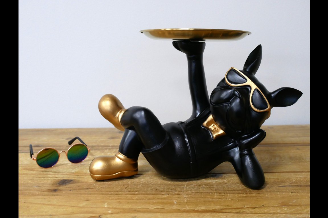 Dog With Tray