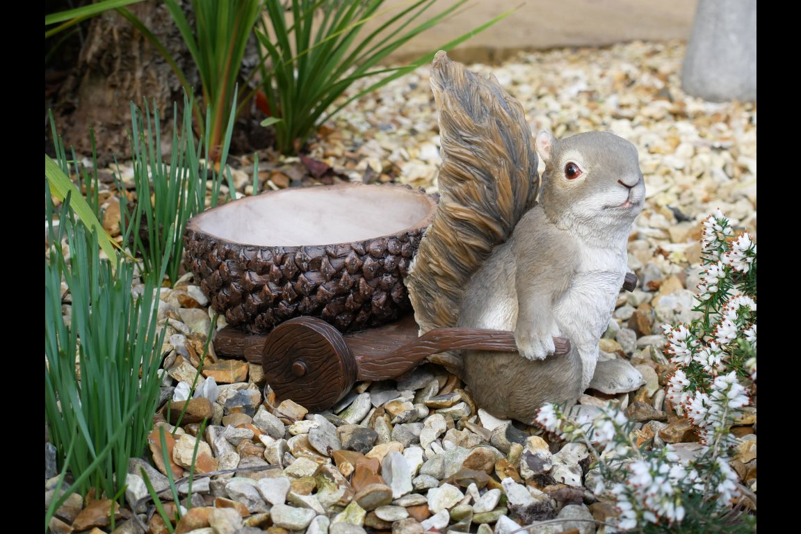 Squirrel With Acorn Trailer
