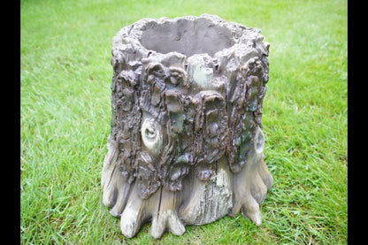 Tree Stump Planter