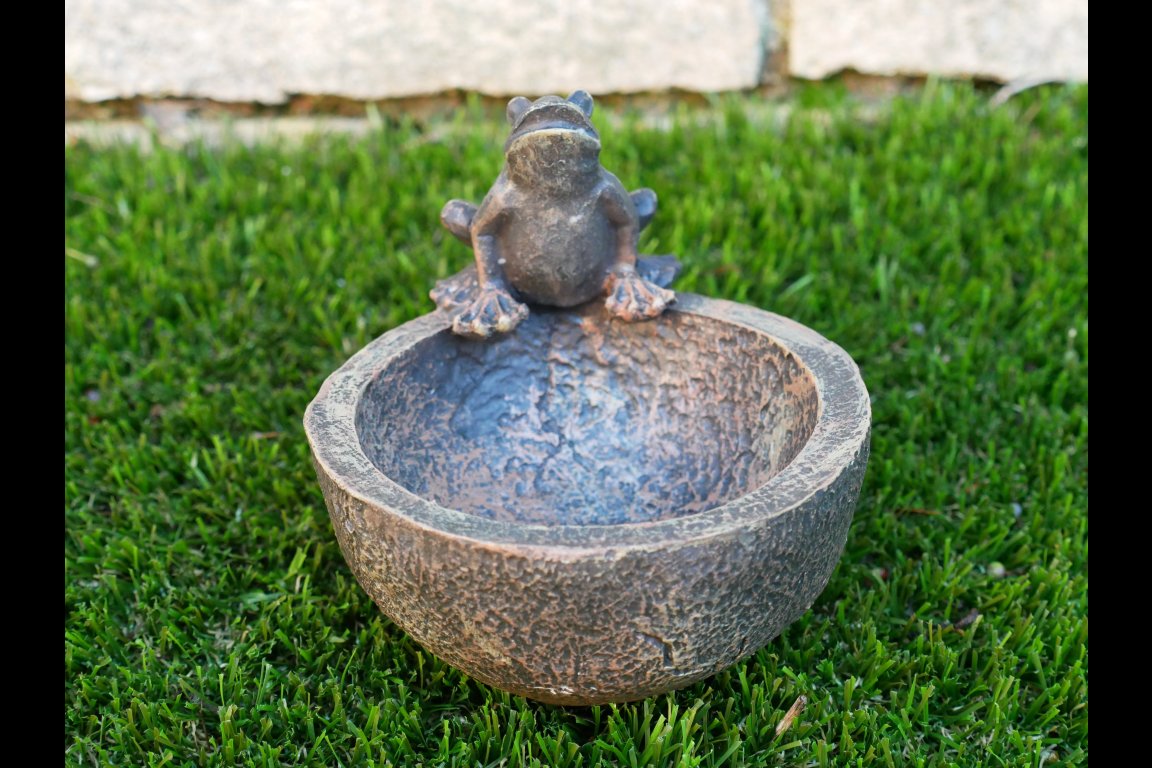 Frog Bowl