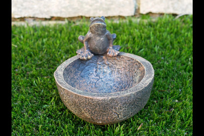 Frog Bowl