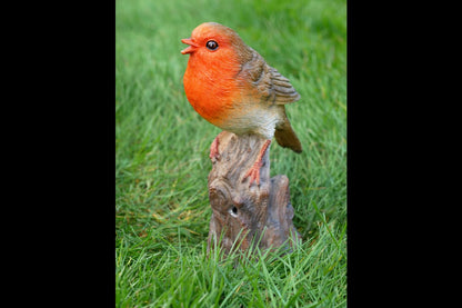 Tweeting Bird