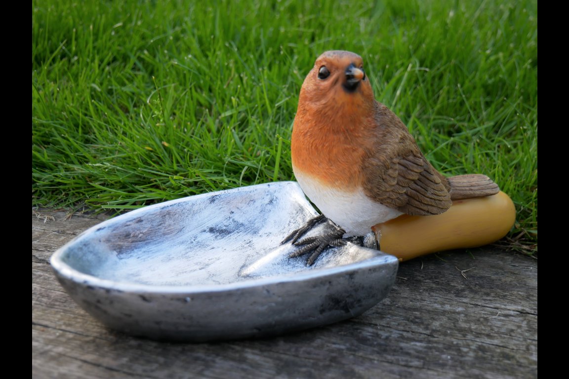 Bird Feeder