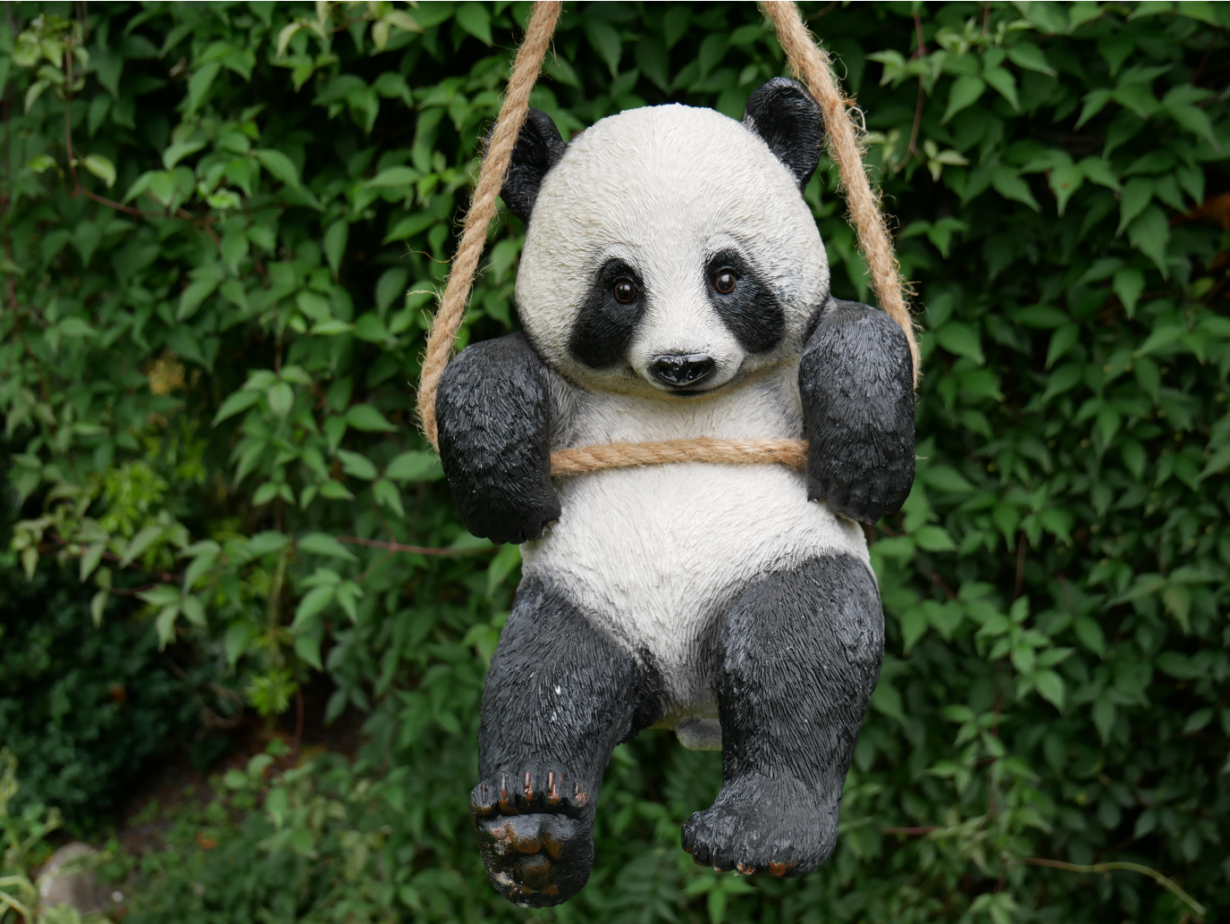 Hanging Panda