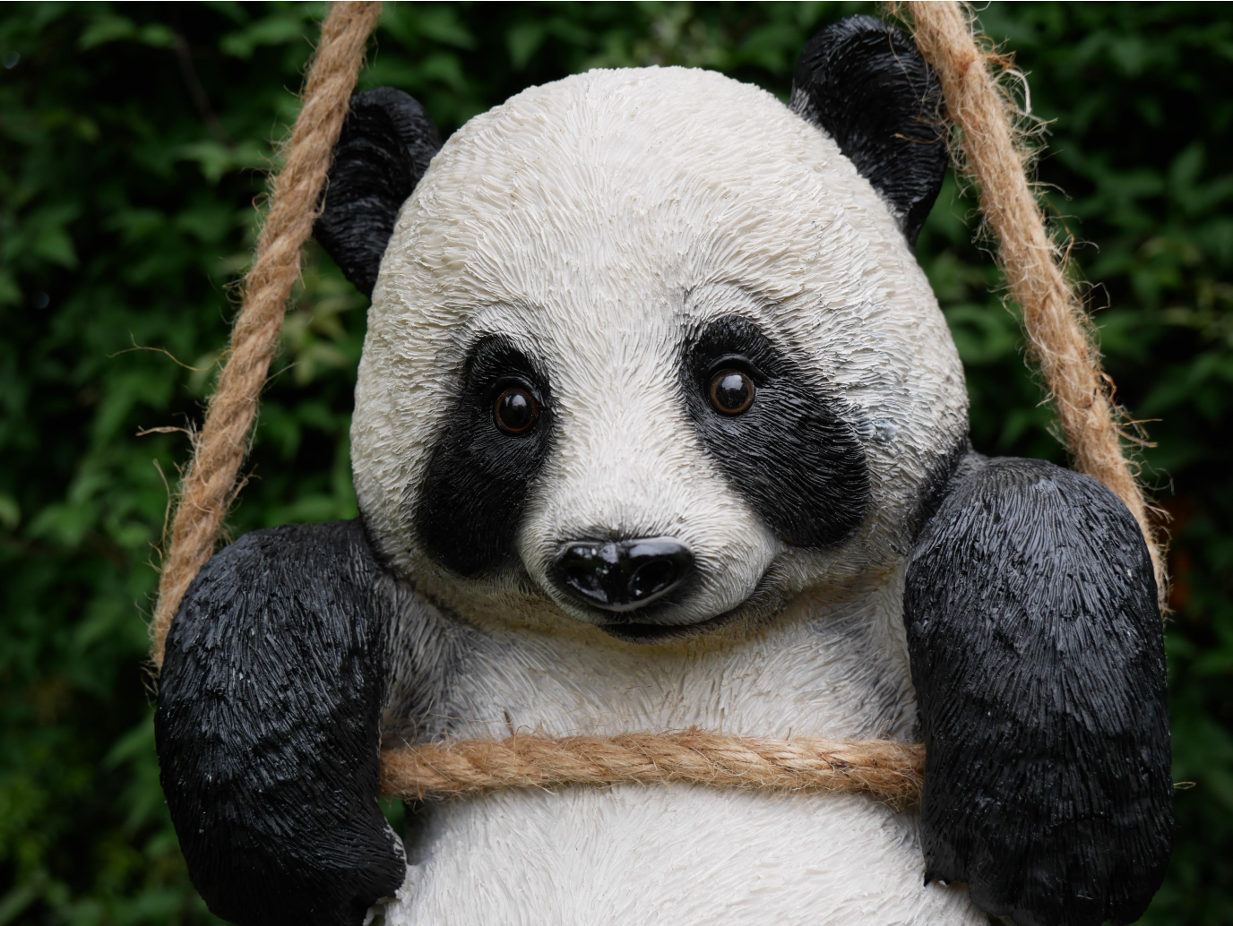 Hanging Panda