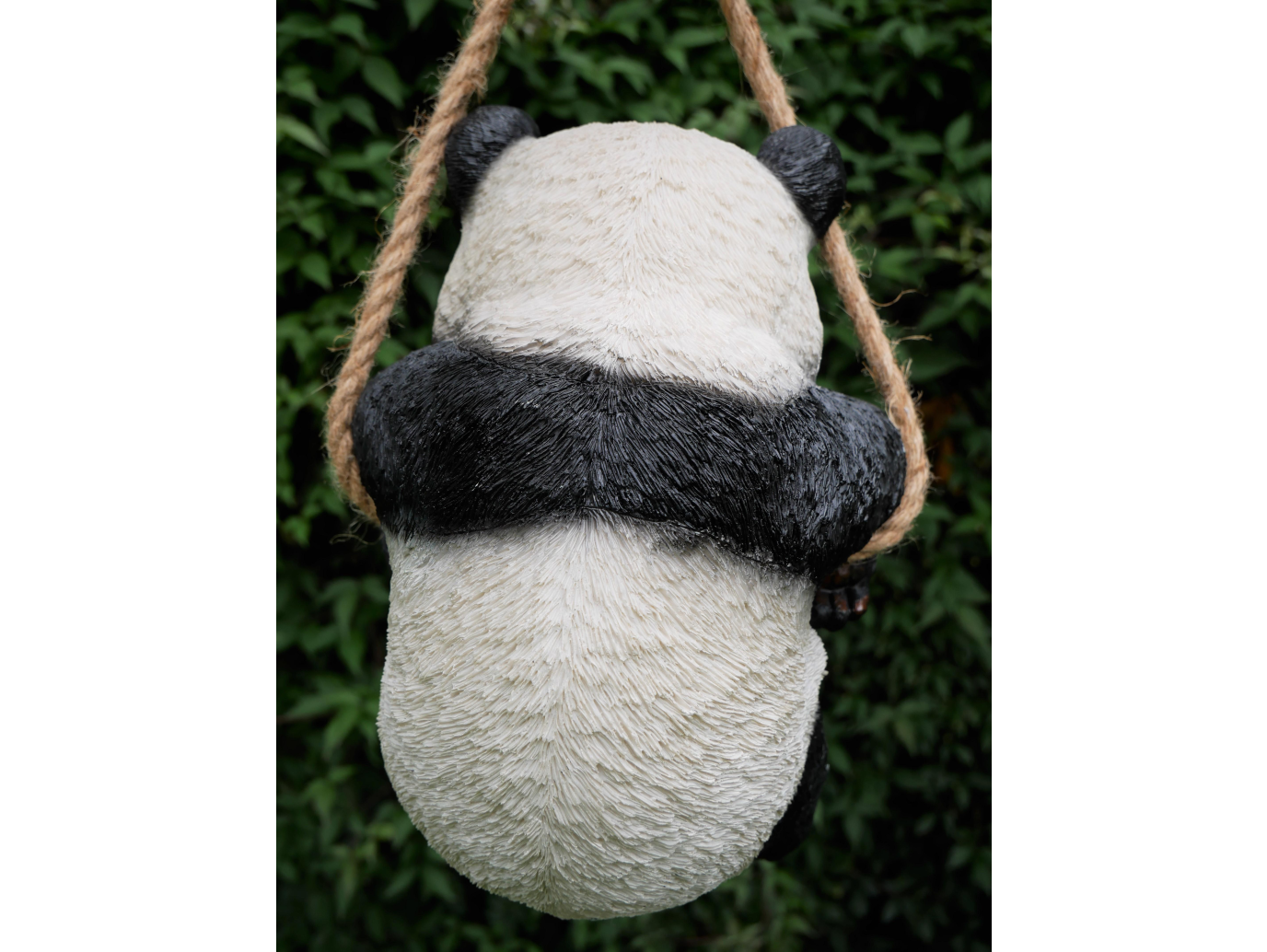 Hanging Panda