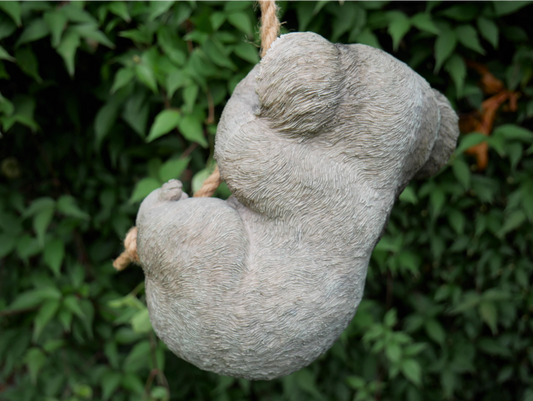 Hanging Koala