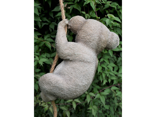 Hanging Koala