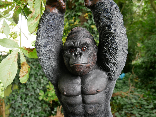 Hanging Gorilla