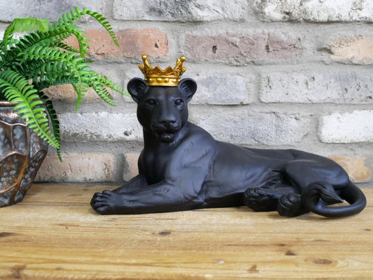 Laying Lion