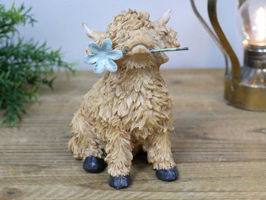 Highland Cow With Flower In Mouth