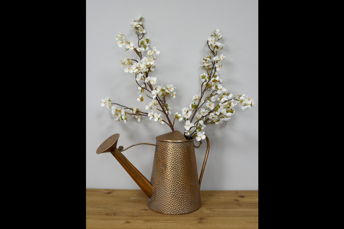 Watering Can