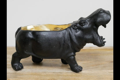 Hippo Dish