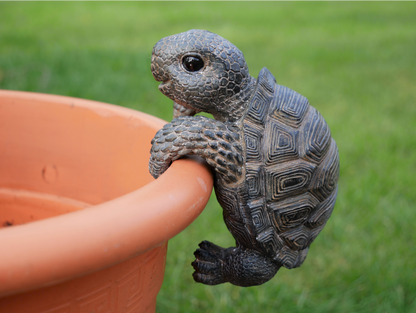 Pot Hanging Tortoise