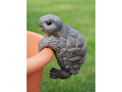 Pot Hanging Tortoise