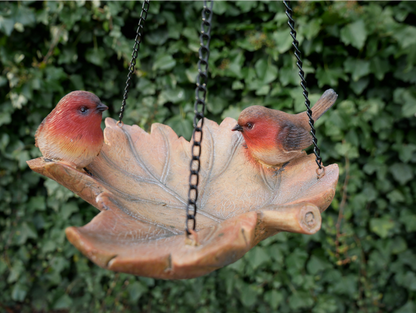 Robin Bird Feeder