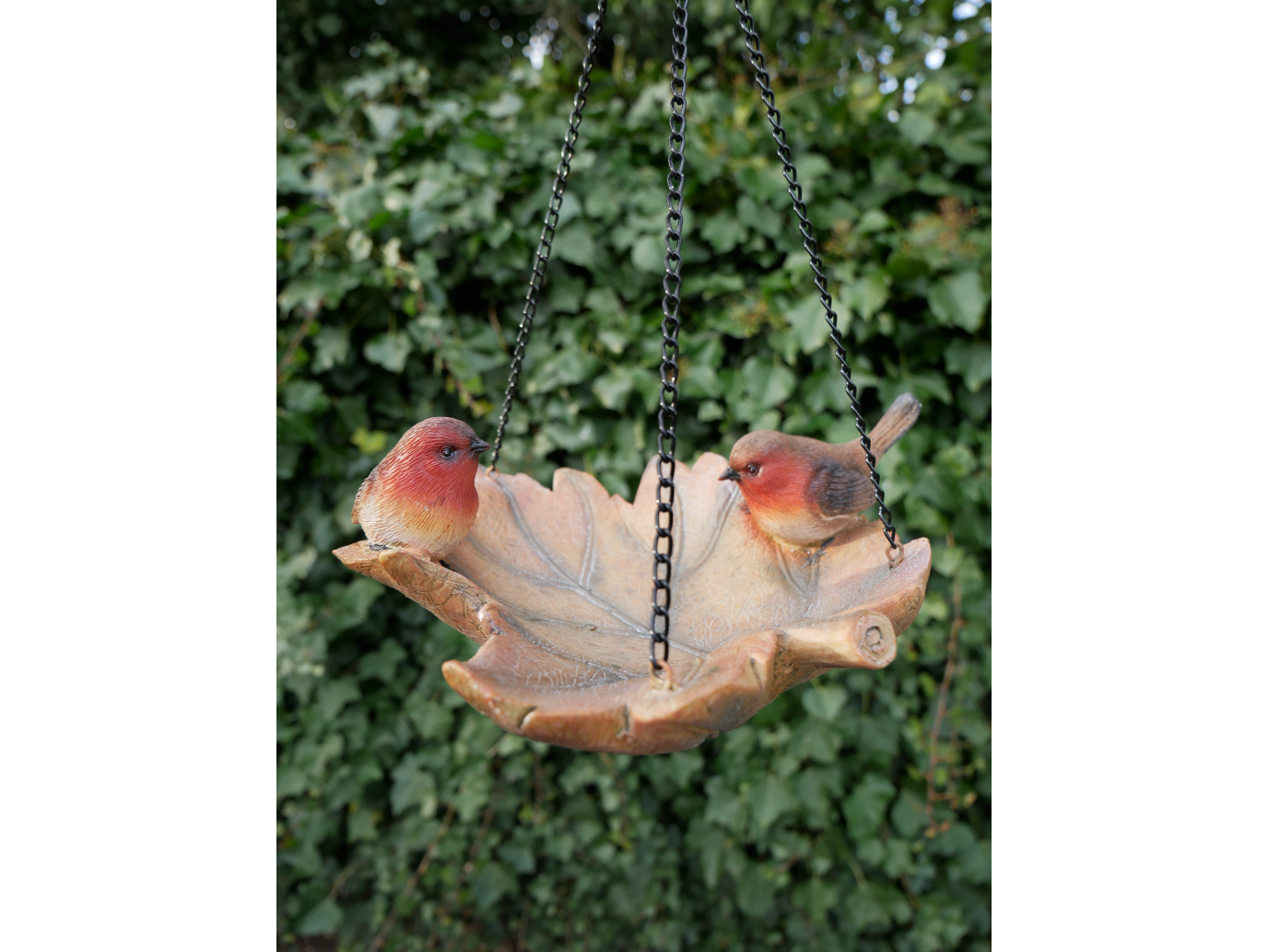 Robin Bird Feeder