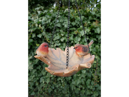 Robin Bird Feeder