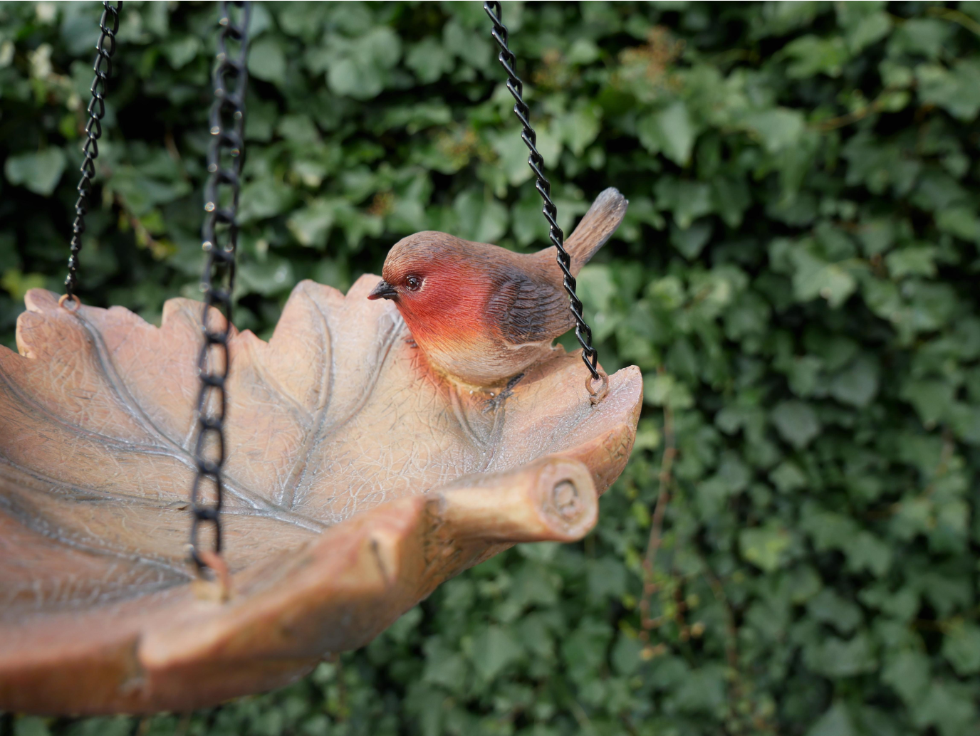 Robin Bird Feeder