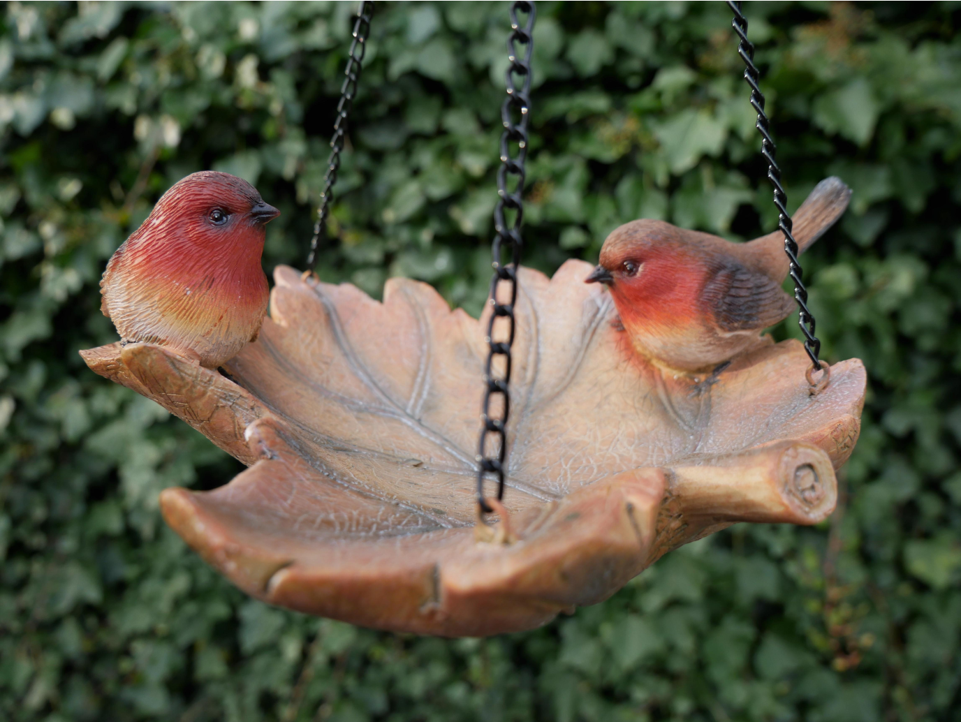 Robin Bird Feeder