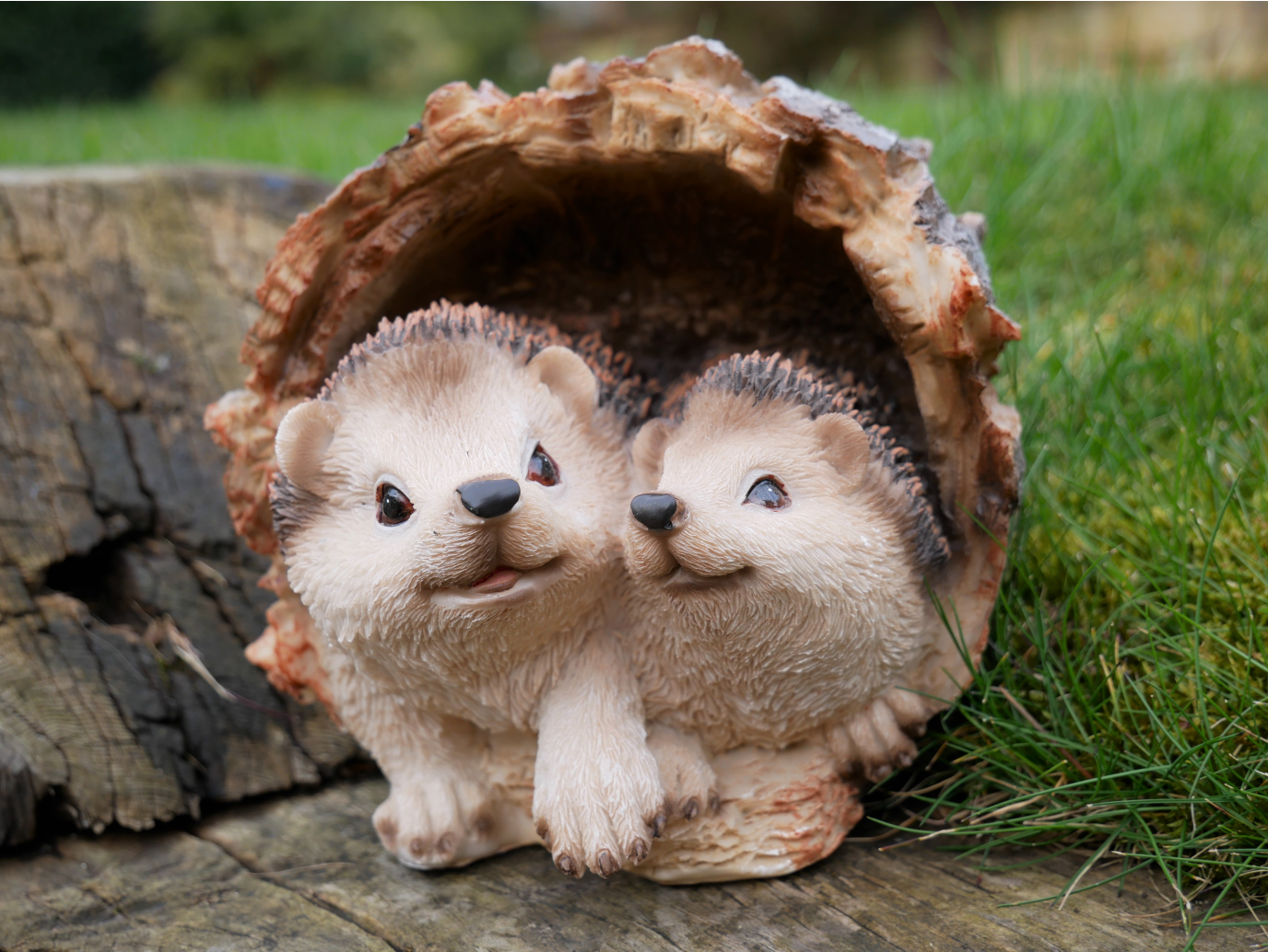 Hedgehogs In Log