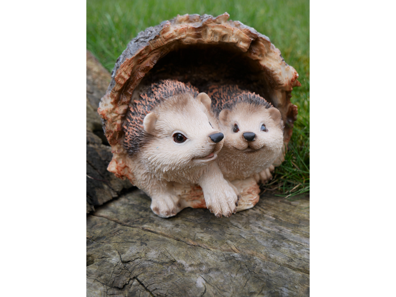 Hedgehogs In Log