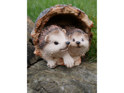 Hedgehogs In Log