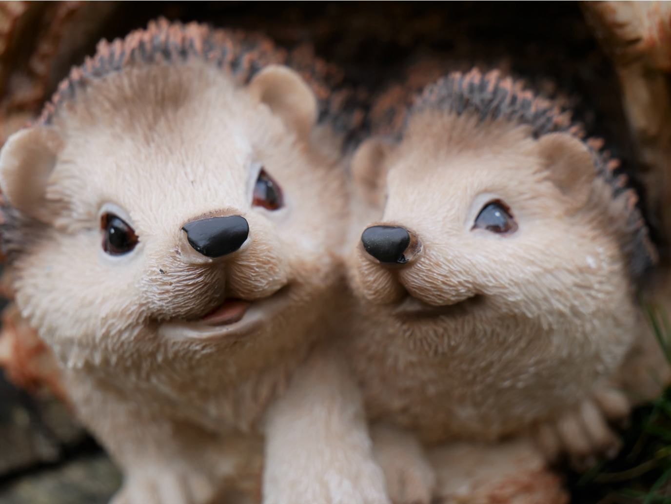 Hedgehogs In Log