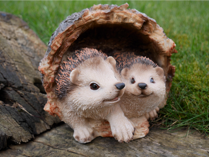 Hedgehogs In Log