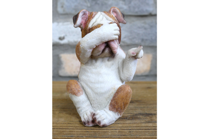 Who Done It Bulldogs (Set of 3)