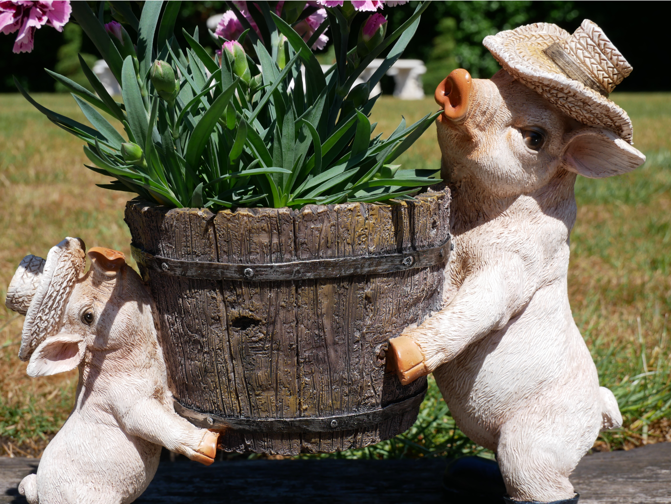 Pig Planter