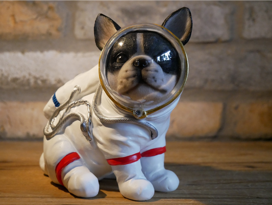 Space Dog