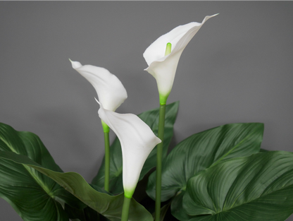 Artificial White Lily