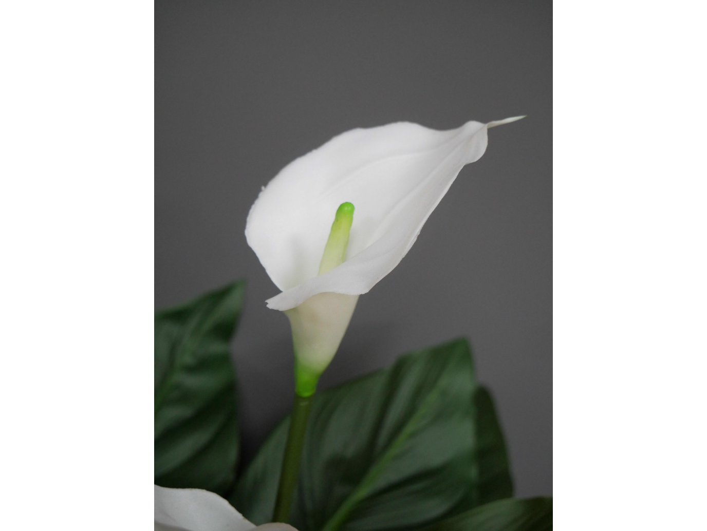 Artificial White Lily