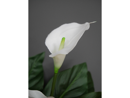 Artificial White Lily