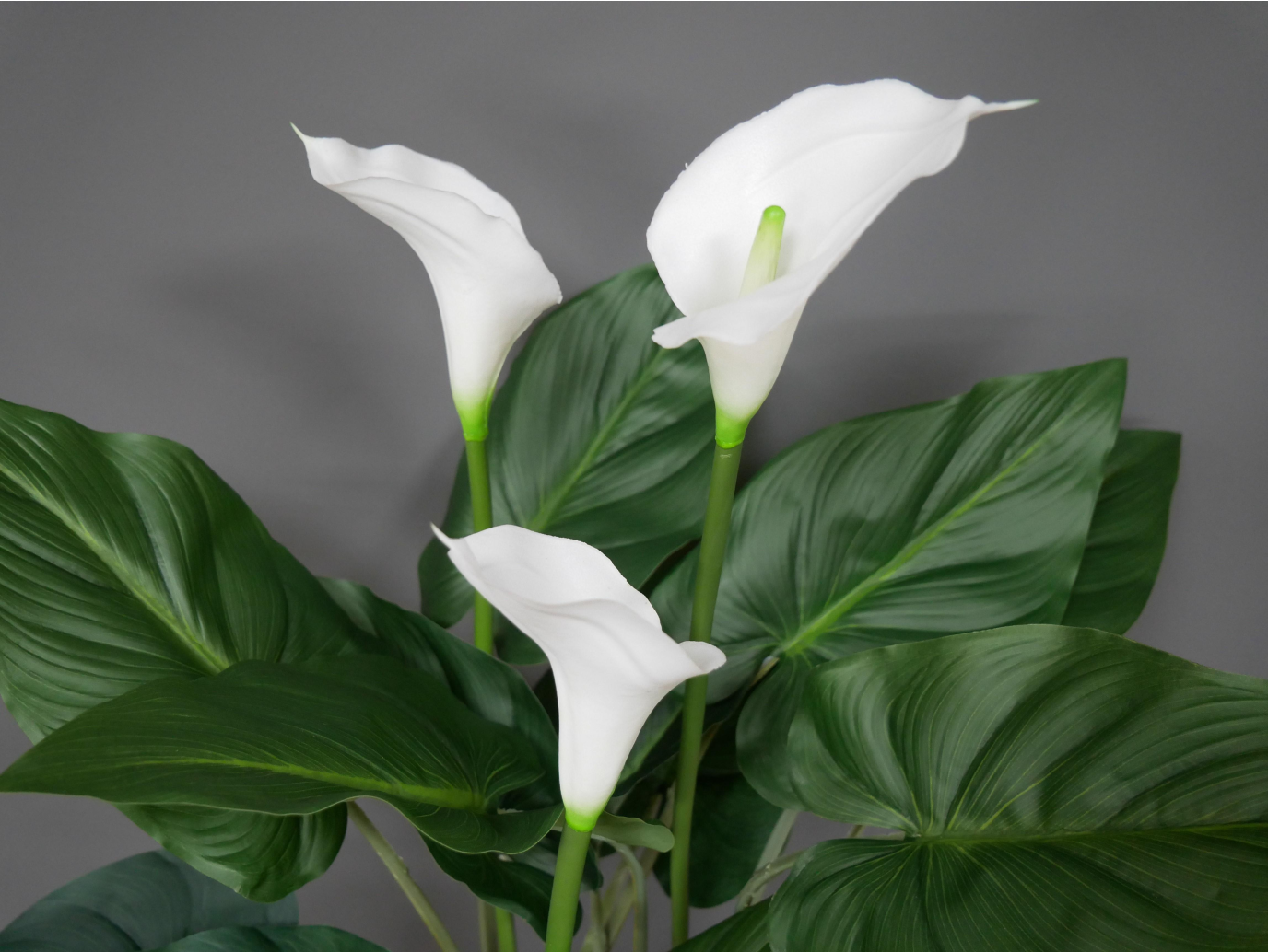 Artificial White Lily