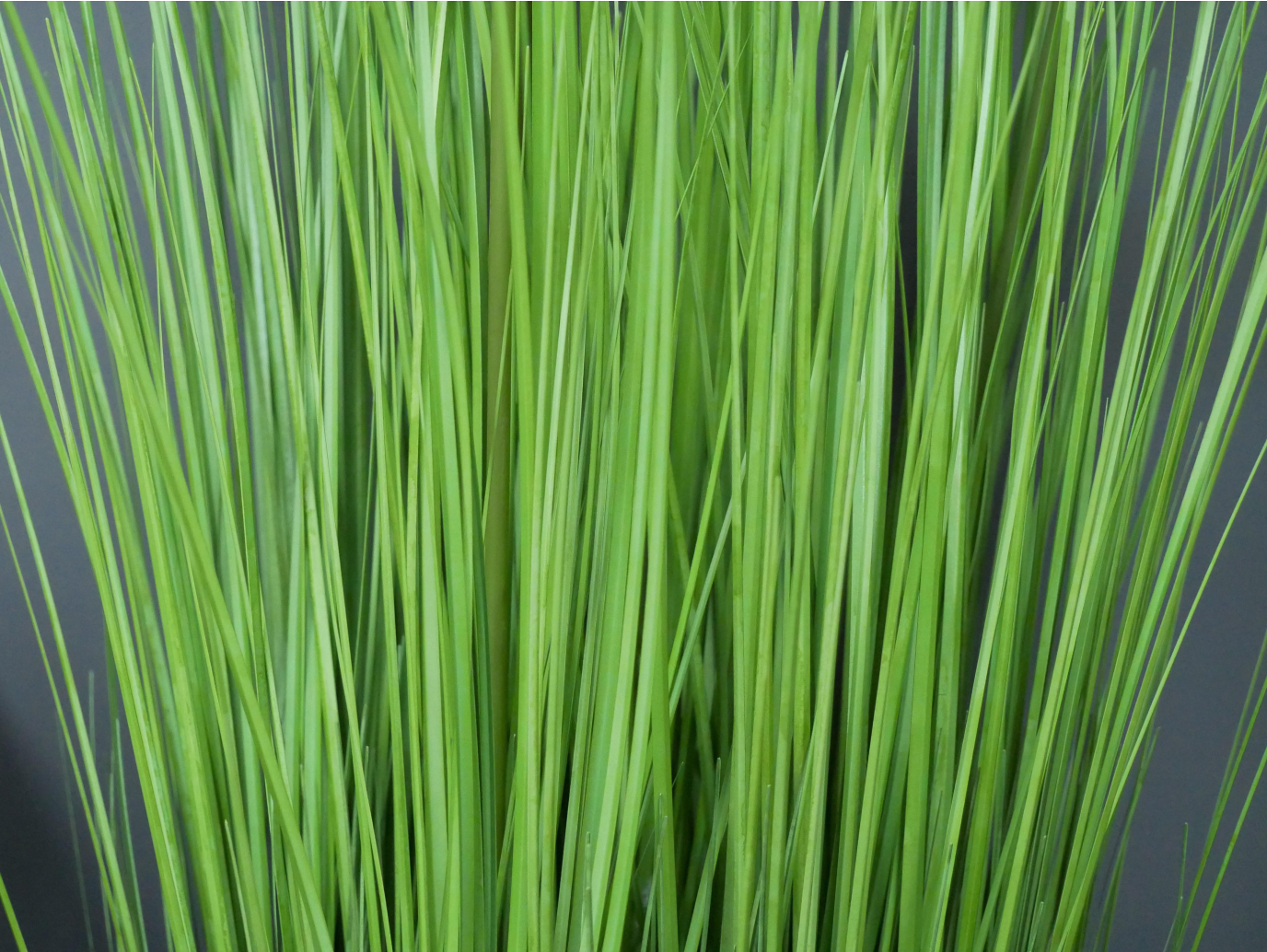 Artificial Dandelion Grass - Small