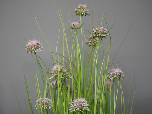 Artificial Grass With Purple Allium