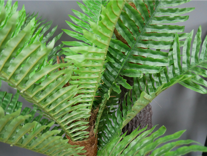 Artificial Fern