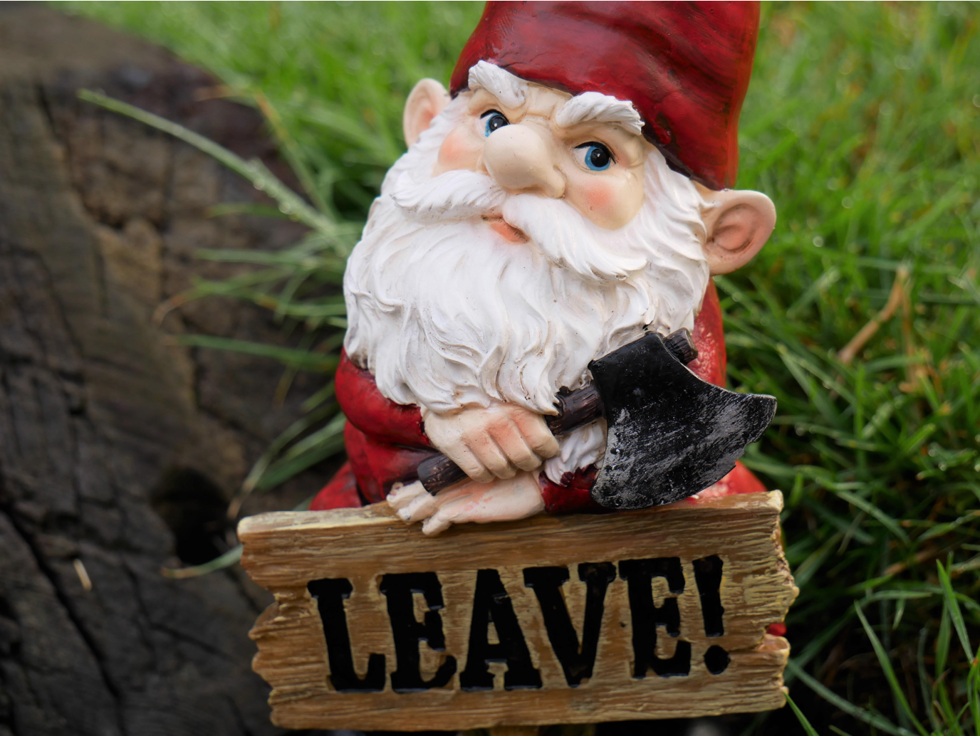 Gnome (Leave)